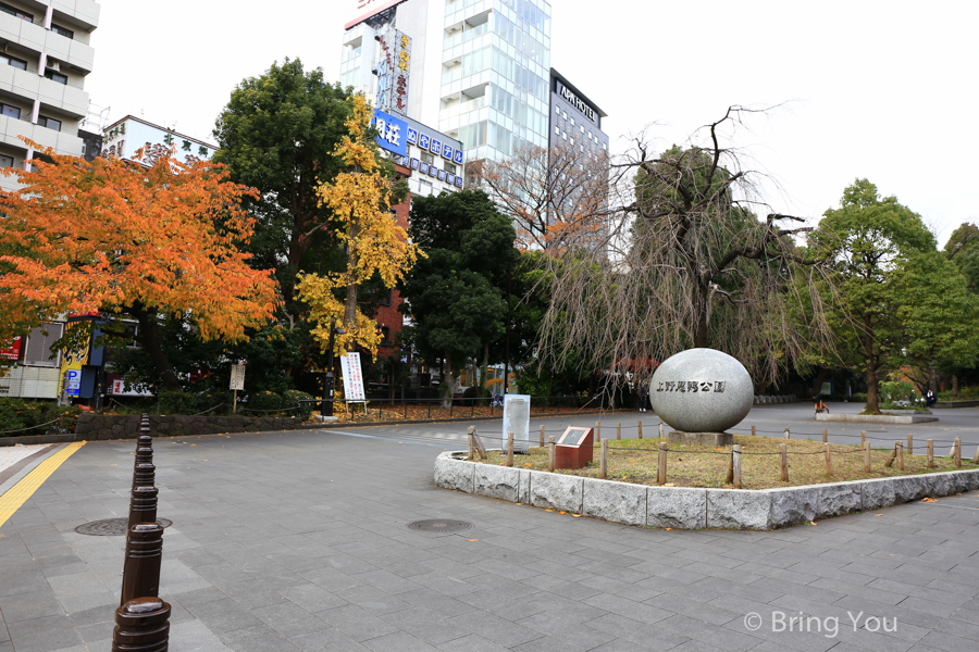 东京上野公园枫叶