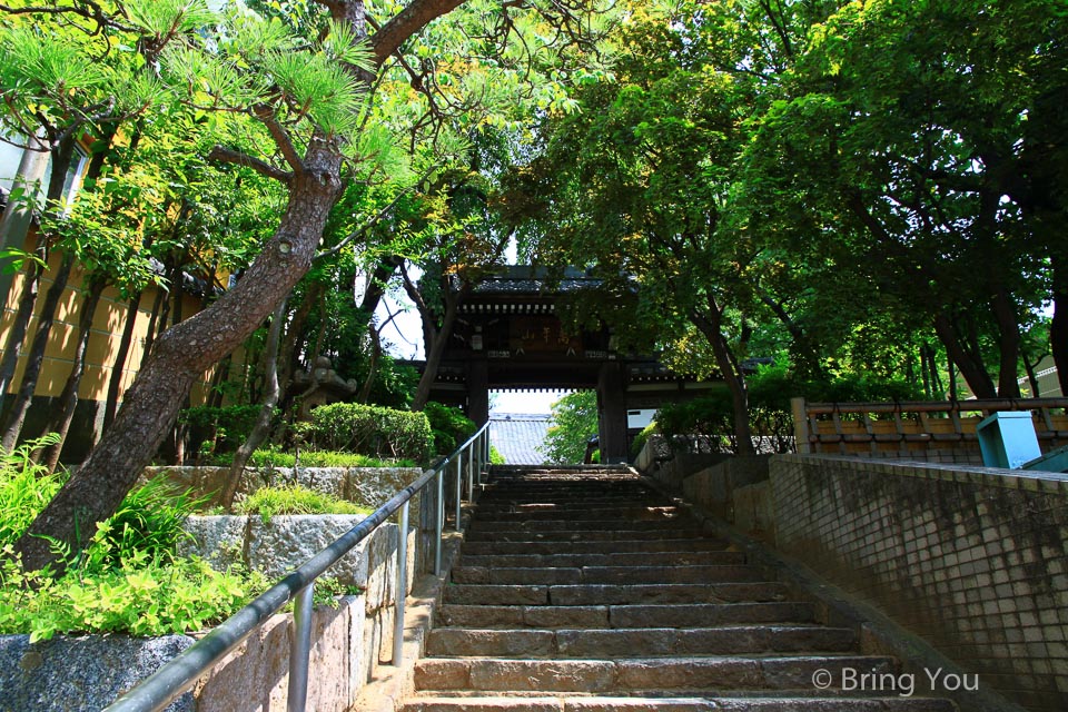 早稻田大學