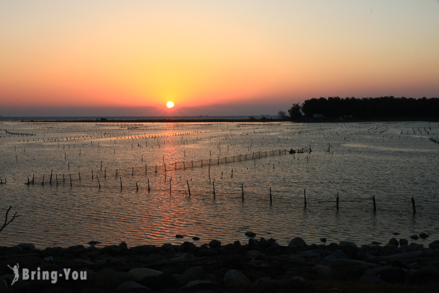 【七股潟湖景点】七股观海楼看夕阳、观海楼拍夕照Z字体蚵架、七股黑面琵鹭保护区赏鸟