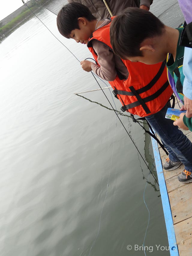 茄萣溼地公園 黑面琵鷺 彈塗魚-10