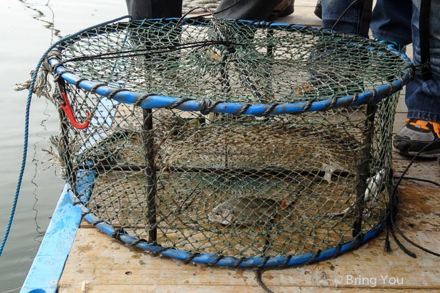 茄萣溼地公園 黑面琵鷺 彈塗魚-11