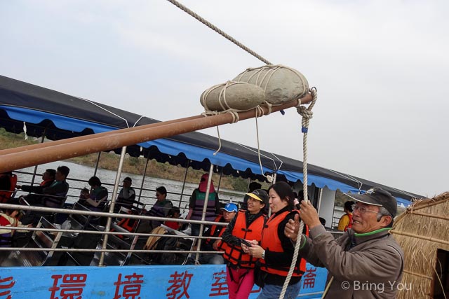 茄萣溼地公園 黑面琵鷺 彈塗魚-13