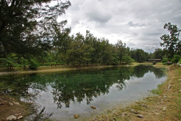 【台東太麻里半日遊】太麻里景、點美食推薦：太麻里溫泉、台東森林公園、正氣街美食