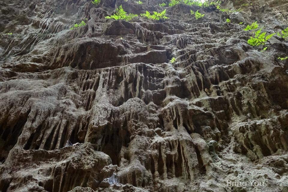 大崗山景點 一線天-3