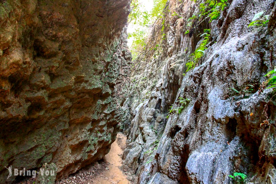 【高雄大崗山風景區景點】一線天：台灣就有壯觀的雄偉峭壁