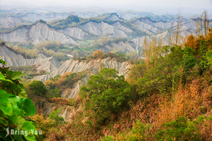 【台南左鎮景點】草山月世界一日遊：大峽谷泥岩惡地地形、岡林露營水管