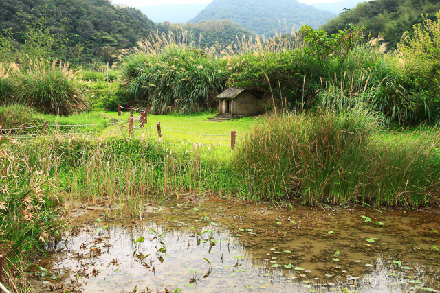 台北旅遊健行 草嶺古道-17