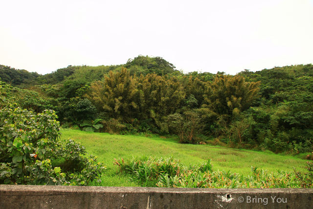 台北旅遊健行 草嶺古道-2