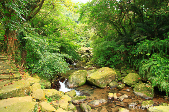 台北旅遊健行 草嶺古道-29