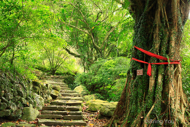 台北旅遊健行 草嶺古道-31