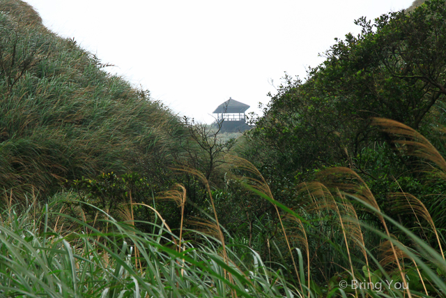 台北旅遊健行 草嶺古道-45