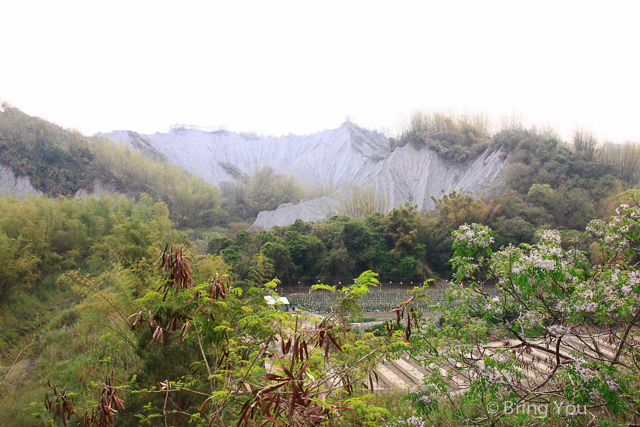 台南旅遊 草山月世界-20