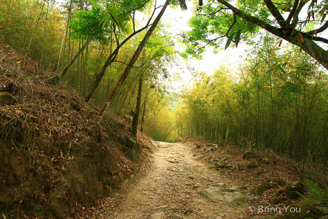 【台南健行】關子嶺大凍山：小百岳 No.63，台南最高峰登山