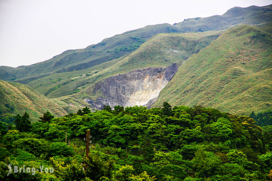 阳明山竹子湖海芋绣球花季