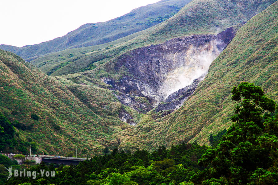 陽明山竹子湖海芋繡球花季