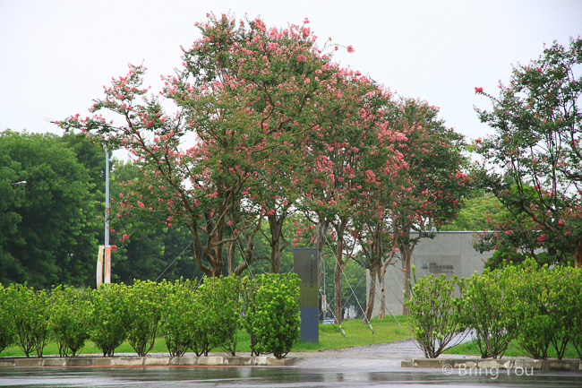 亞洲大學-4