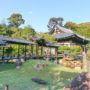 【高台寺參觀攻略】夜楓參拜資訊｜靜謐日式庭園，感受京都隱世秘境