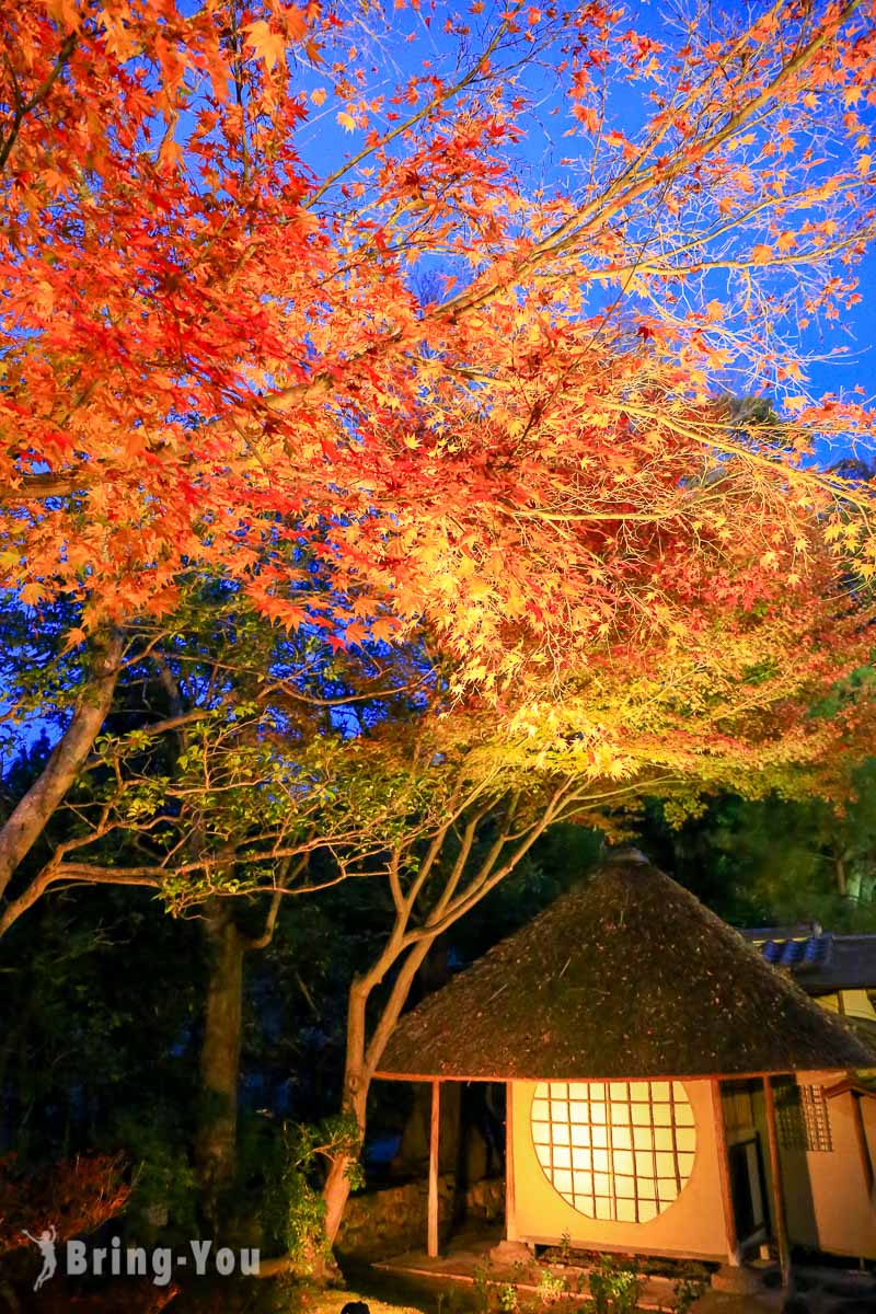 京都赏枫景点