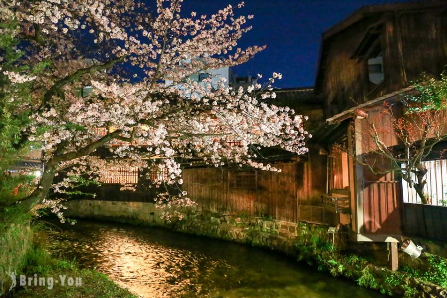 京都 祇園白川南通老街散策 絕美賞櫻拍照景點 Bringyou