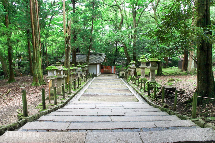 【奈良】春日大社散策：夫妇大国社、白鹿动物签、乳房神社、鹿苑