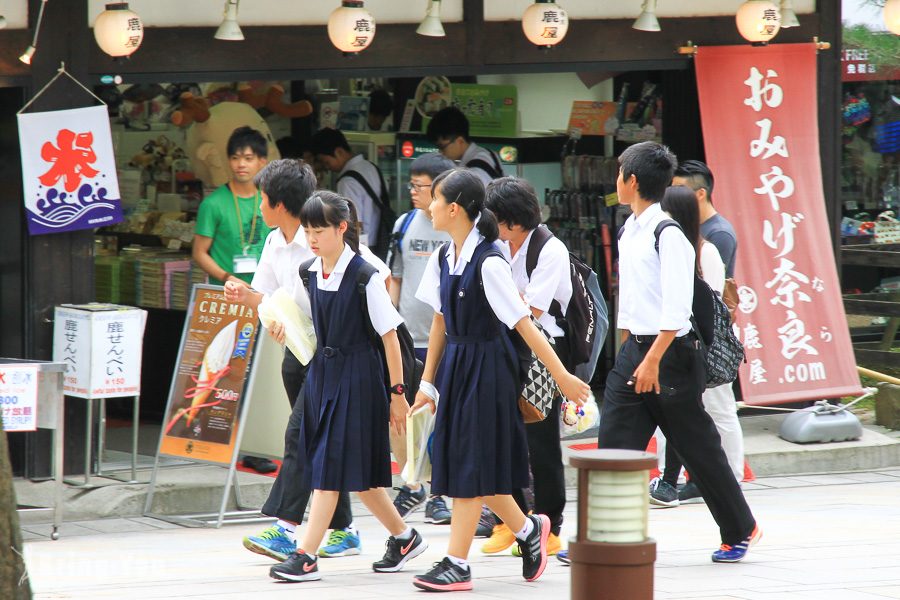 奈良公園小鹿