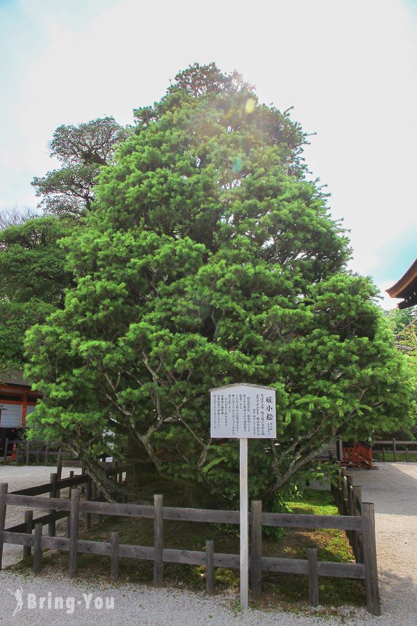 京都下鴨神社