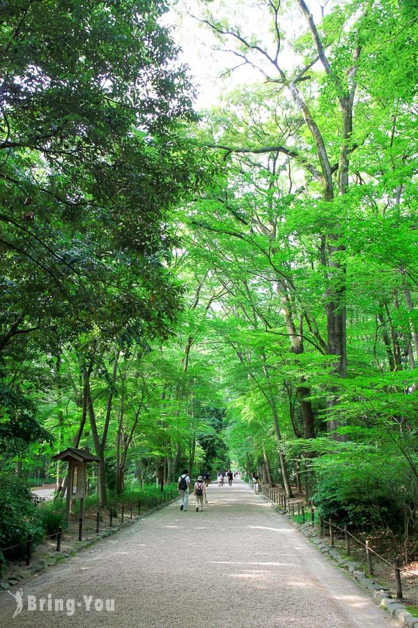 京都下鴨神社