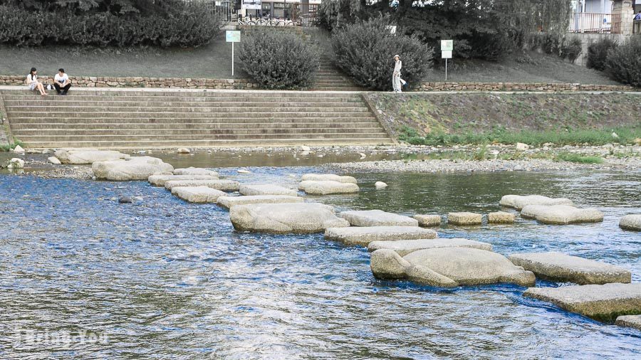 鸭川跳乌龟