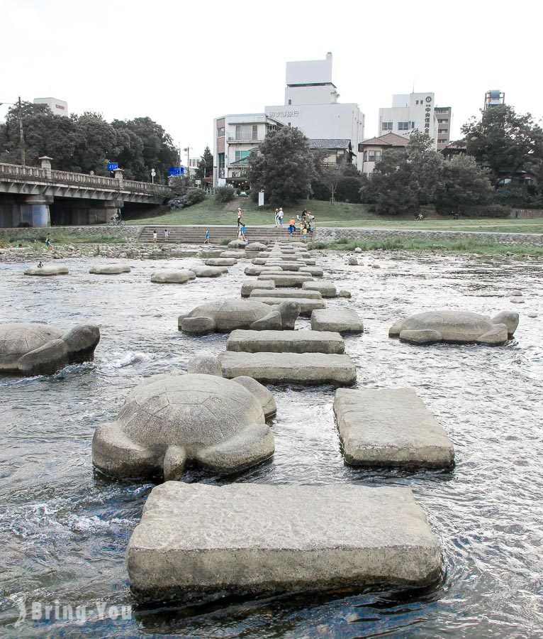 鸭川跳乌龟