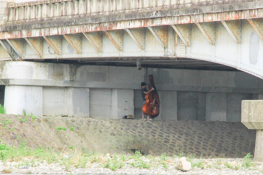 鸭川跳乌龟