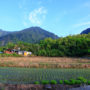 【都蘭半日遊】日出、都蘭遺址、月光小棧、糖廠、水往上流