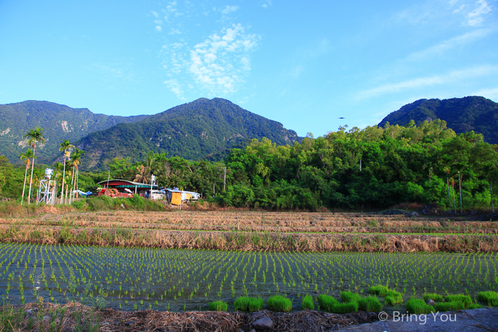 都蘭山-3