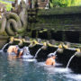 【峇里岛必去景点】圣泉庙(Pura Tirta Empul)，跟着在地人跳入圣泉净身吧！