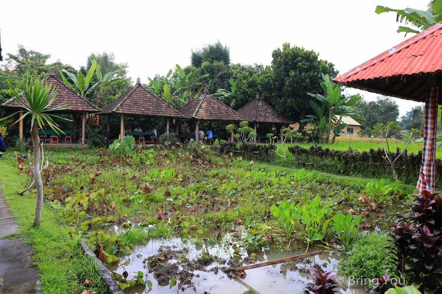 Pangkon Bali