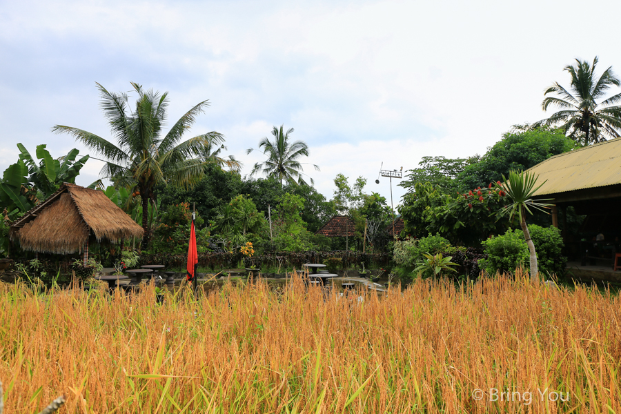 Pangkon Bali