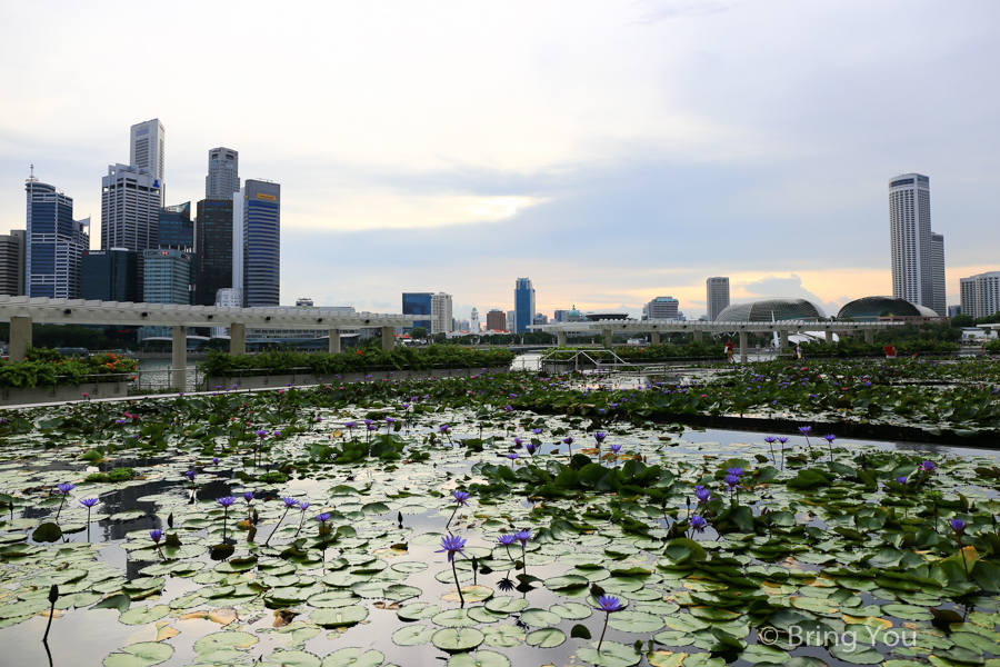 新加坡滨海湾