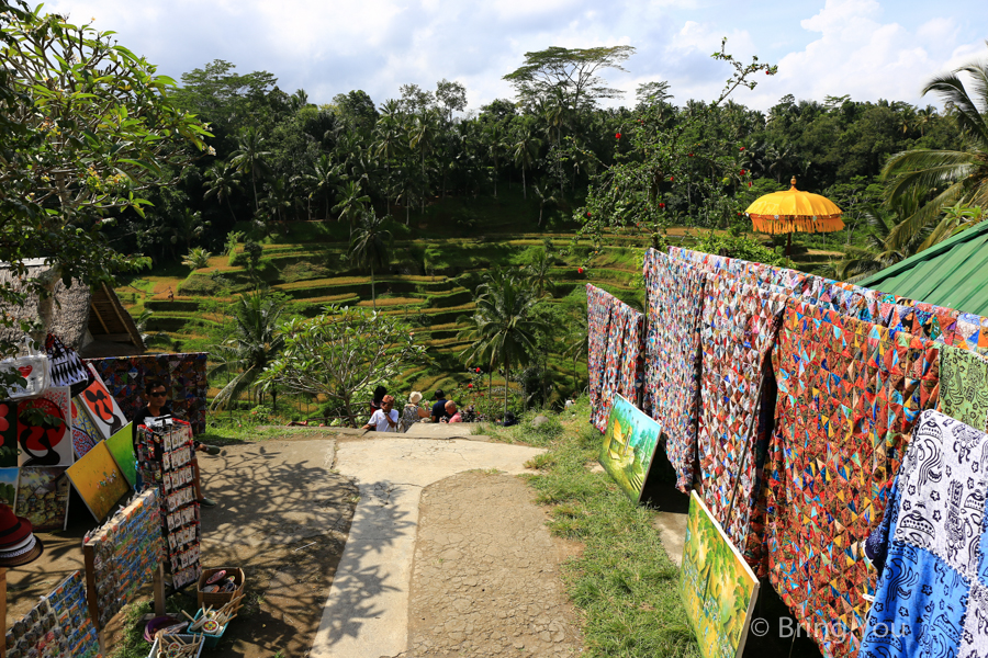 德哥拉朗梯田Tegallalang Rice Terrace