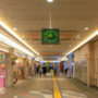 【新宿逛街攻略】分區購物地圖，商圈、百貨公司實際踩點分享：必買藥妝、伴手禮、包包、服飾