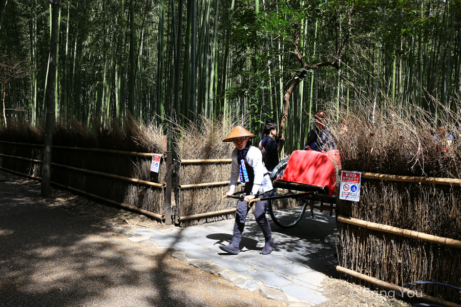 岚山景点