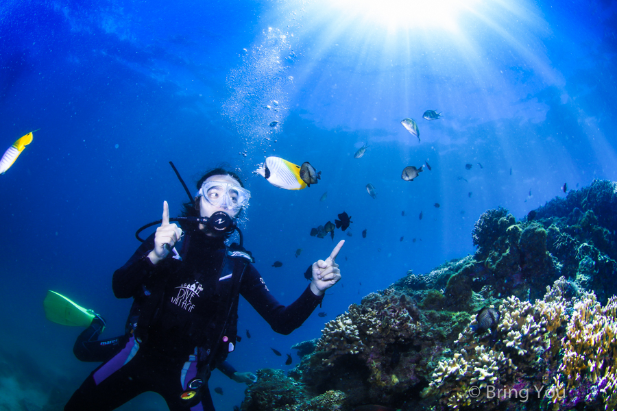 dive-in-kenting-25