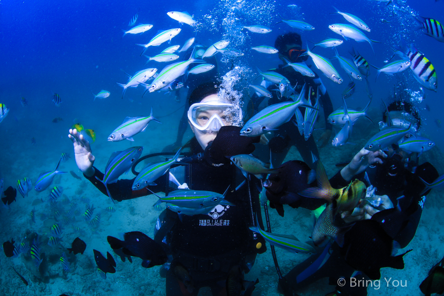 dive-in-kenting-35