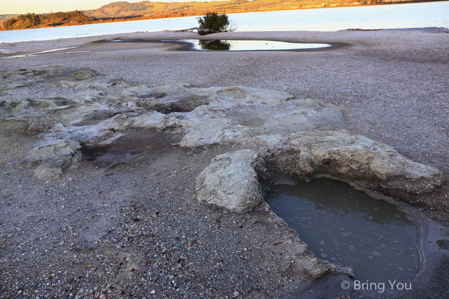 Lake Rotorua