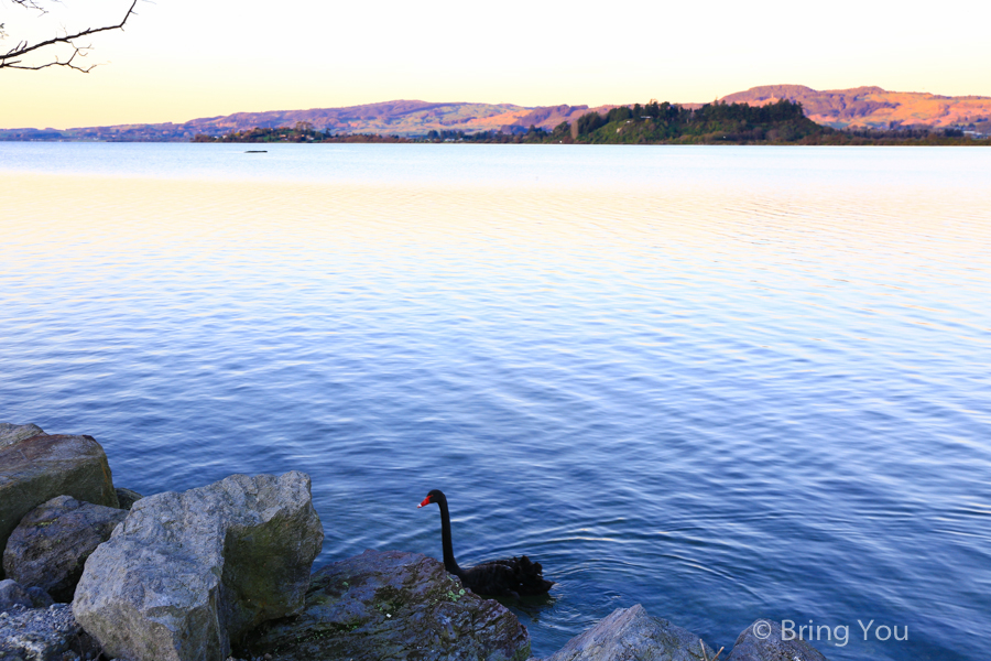 Lake Rotorua