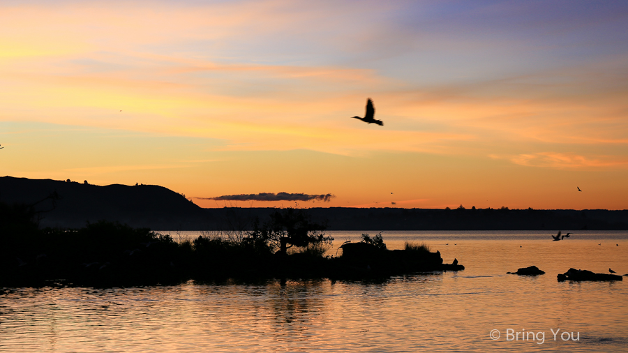 Lake Rotorua