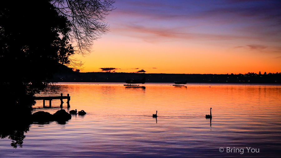 【新西兰Rotorua景点】市政公园、Lake Rotorua 夕阳美景、罗托路亚博物馆 Rotorua Museum