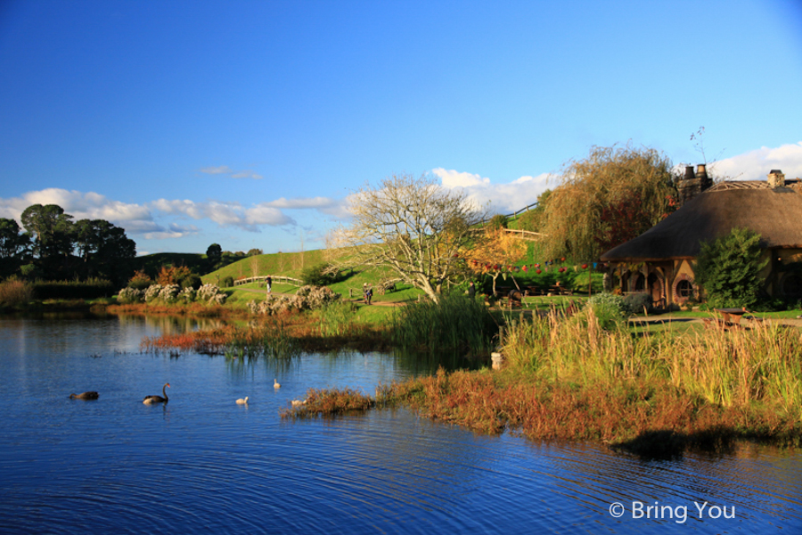 new-zealand-must-go-3