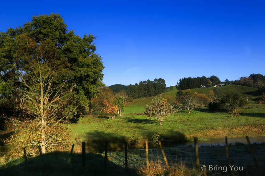 newzealand-headfirst-2