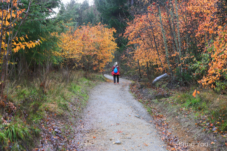 Queenstown Hill Walkway Trekking