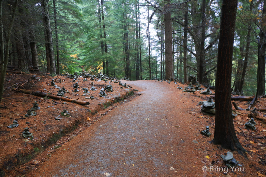 Queenstown Hill Walkway Trekking