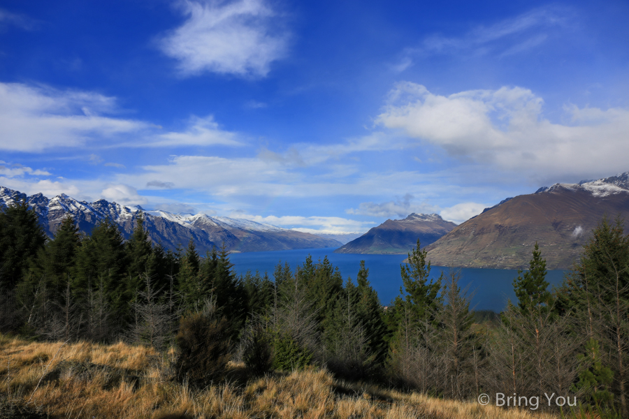 Queenstown Hill Walkway Trekking